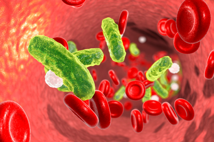 a véráramban található erythrocytákat és baktériumsejteket tartalmazó ér