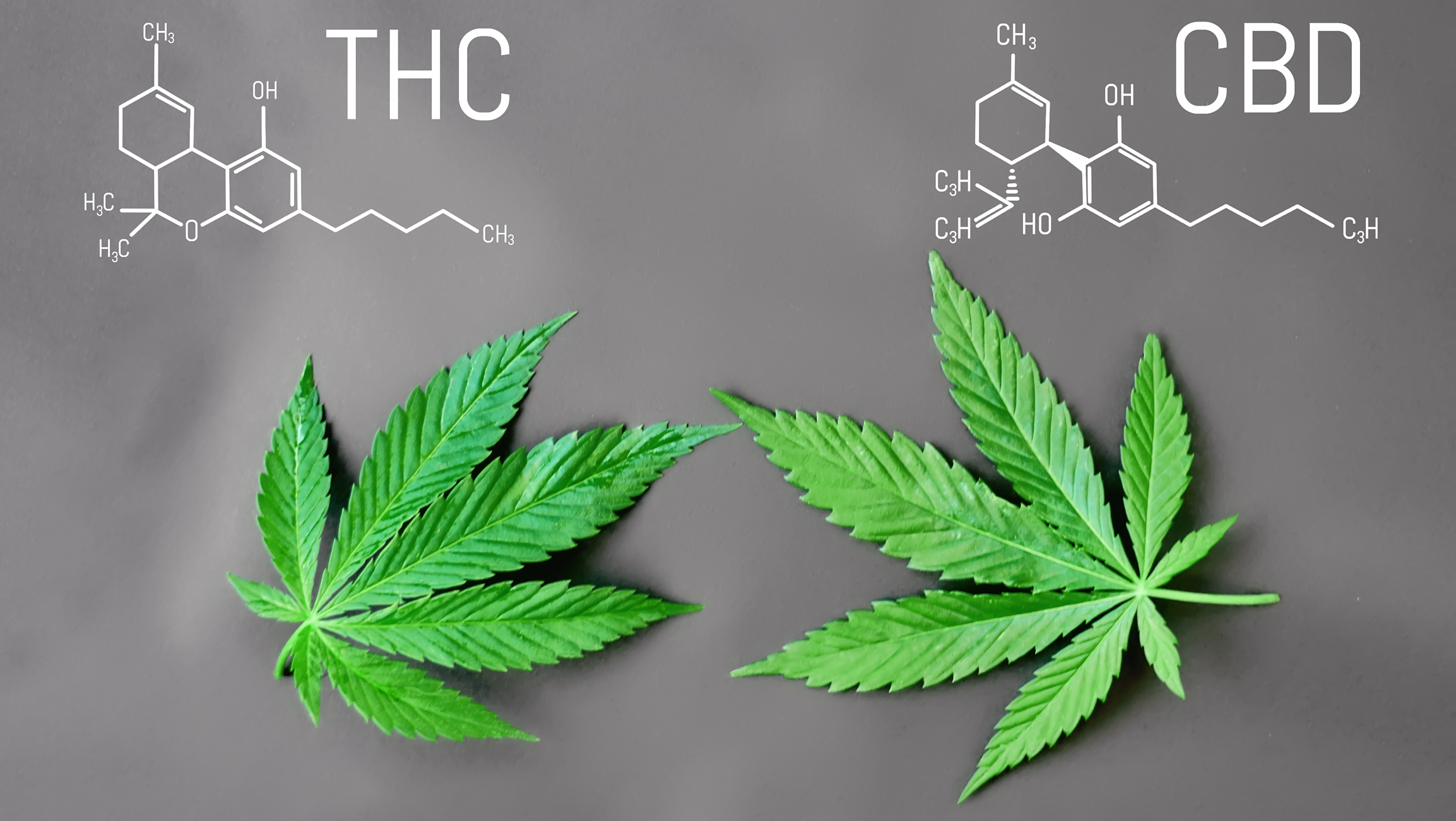 THC és CBD molekula