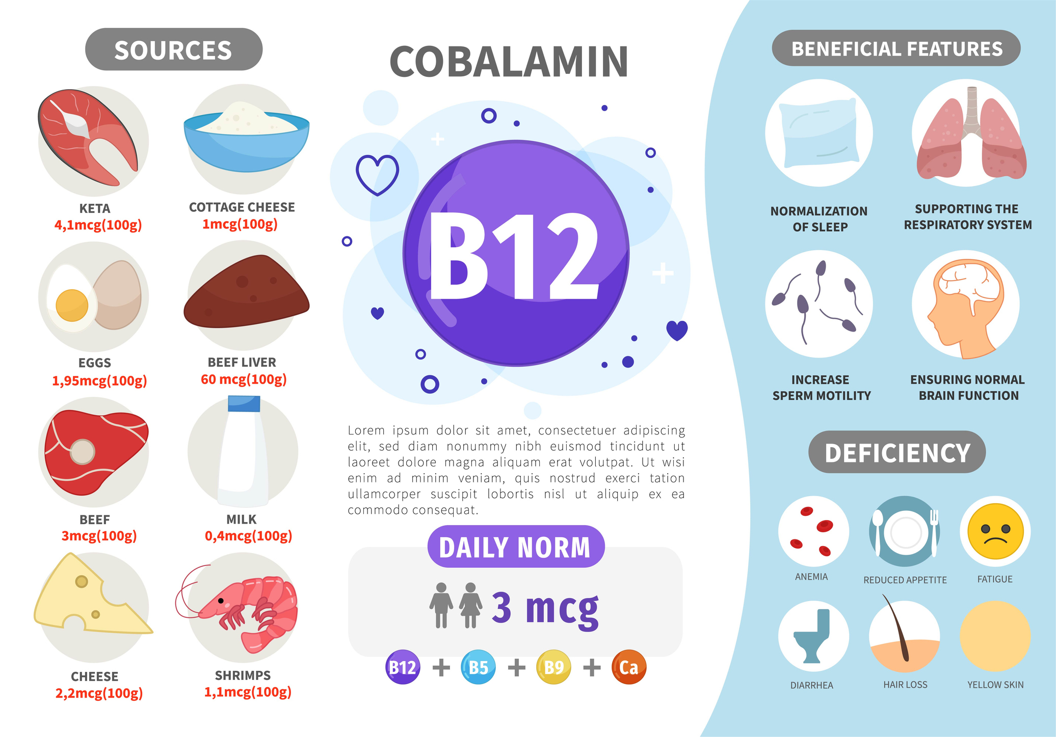 A B12-vitamin forrásai