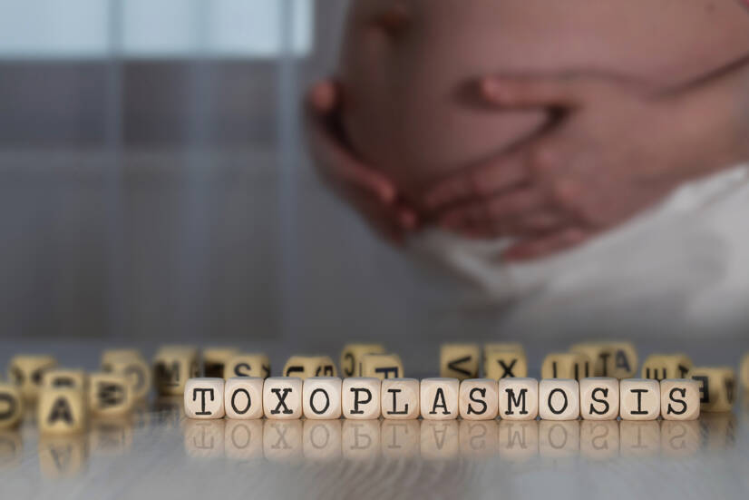 Toxoplazmózis: Mi ez, tünetei és terjedése? Milyen tünetei vannak és hogyan befolyásolja a terhességet?