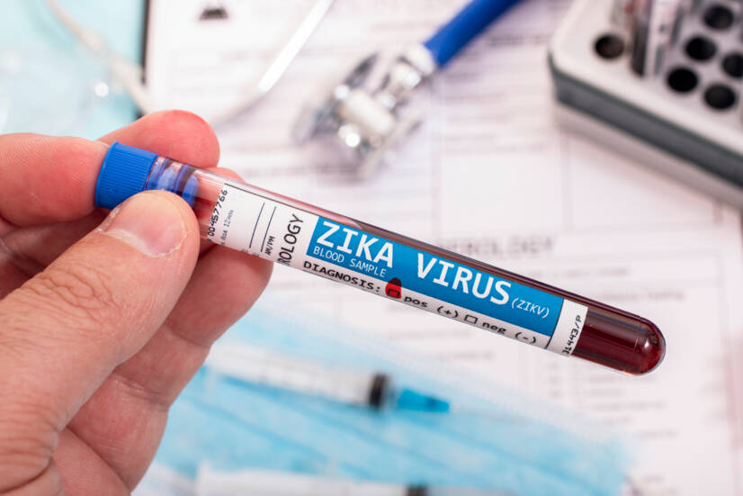 Zika-vírus: mi ez, hogyan terjed és milyen tünetekkel jár?